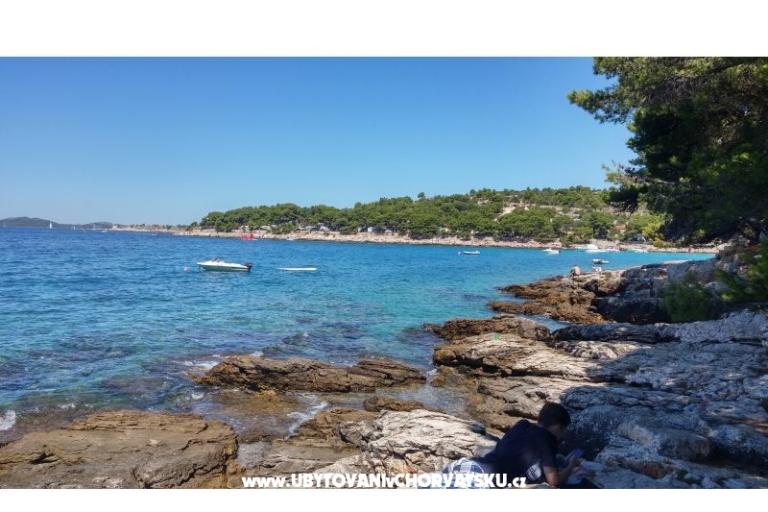 Miljenko – foto 15