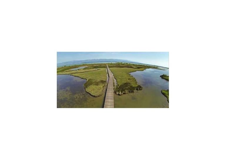 Apartmány Anita – foto 10