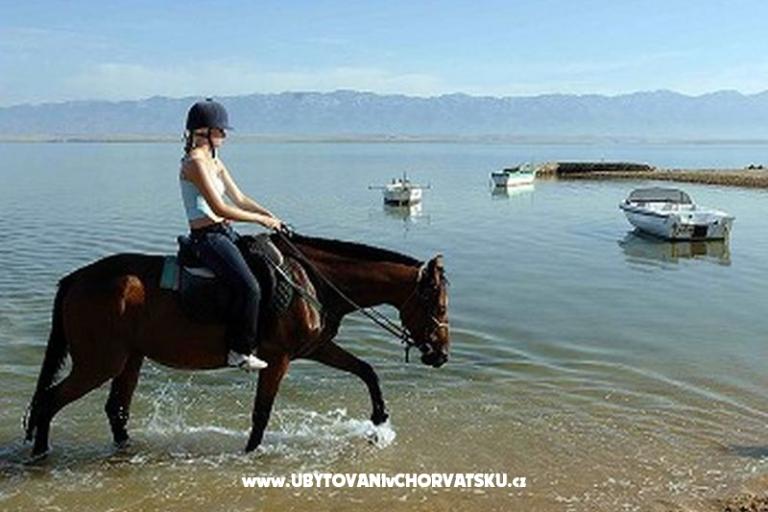 Apartmány Casa Tea  – foto 9