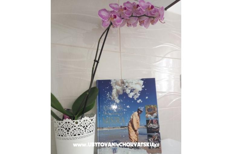 Apartmány Mirjana – foto 4