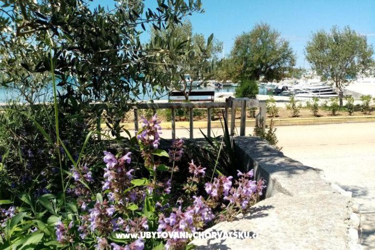 Apartmány Skoljic – foto 12