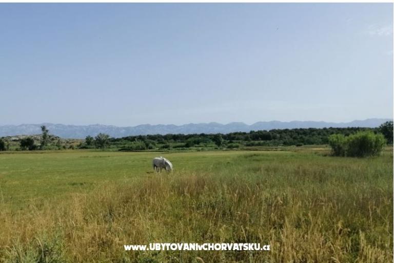 Apartmány Seaside – foto 17