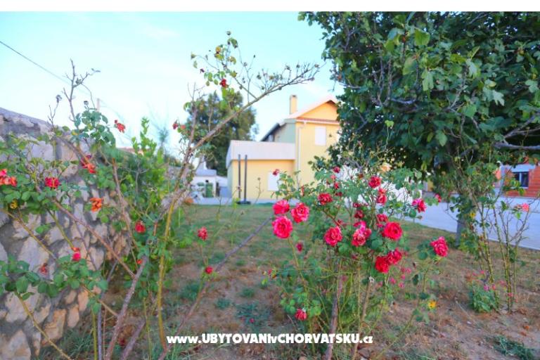 Apartmán Novak Rudic – foto 2