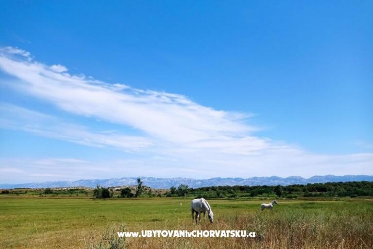 Apartmán MARKO  – foto 12