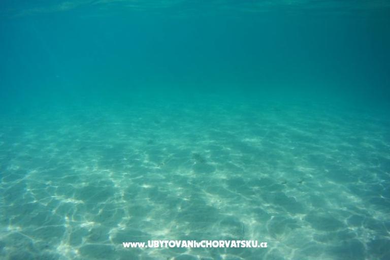 Apartmány Vučur  – foto 17