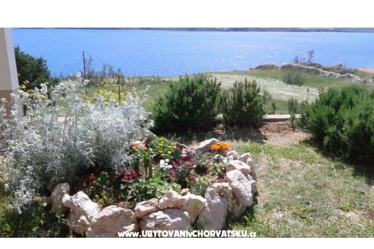 Apartmány Ante – foto 5