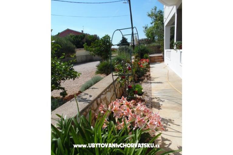 Apartmány Dabo – foto 11