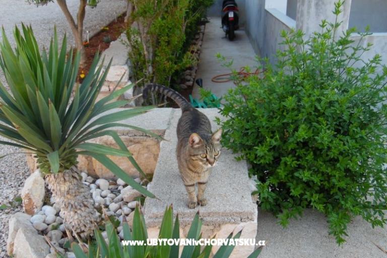 Apartmány Dabo – foto 19