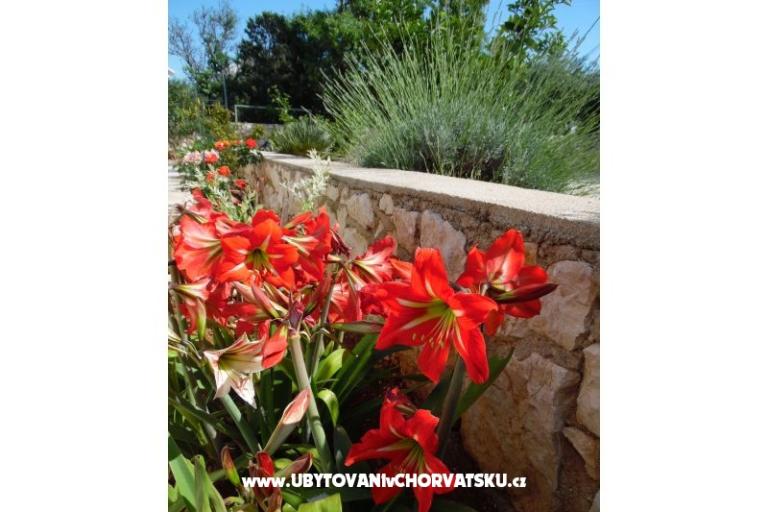 Apartmány Dabo – foto 5