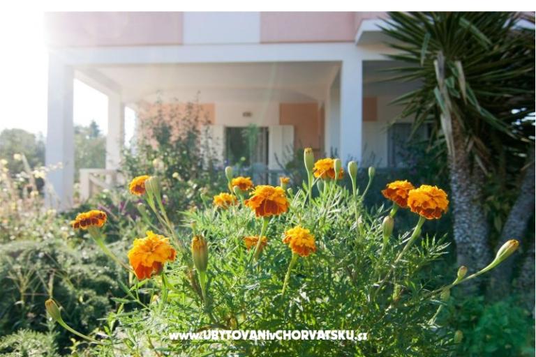 Apartmány Danijela – foto 17