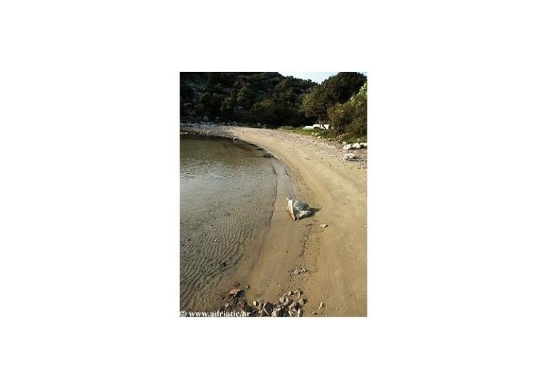 Apartmány Sisul – foto 18