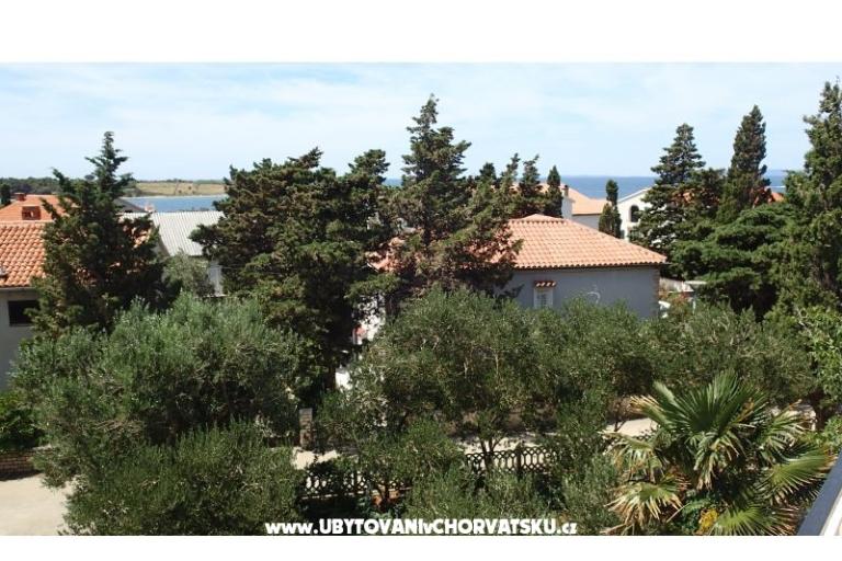 Apartmány Tatjana Borović – foto 14