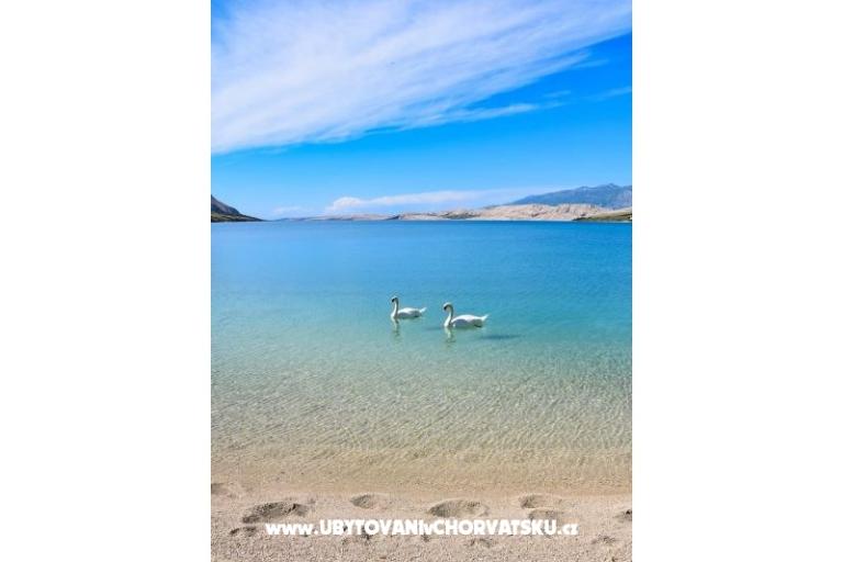 Apartmány Zlatna Vala – foto 21