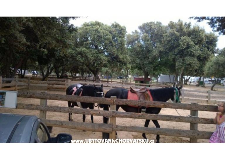 Mobile Home Kemp Straško – foto 12