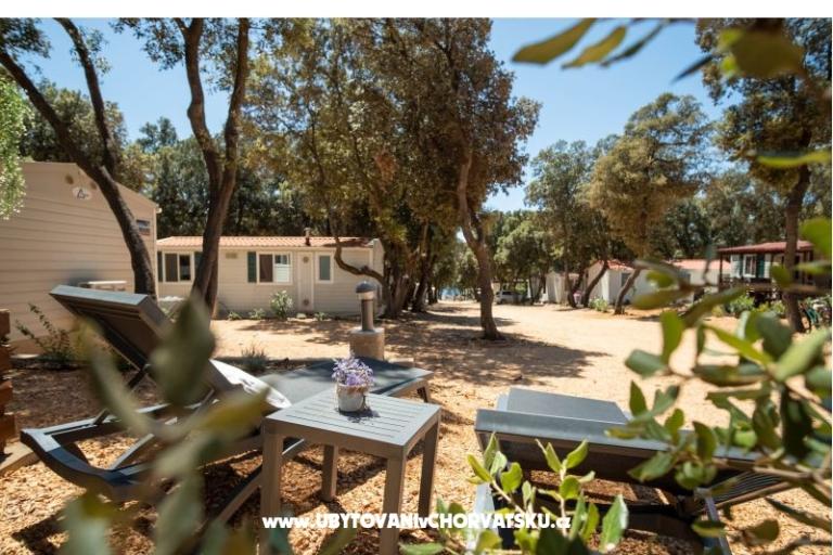 Dům Sookie – foto 10