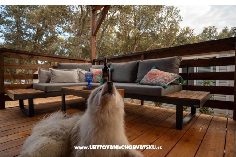 Dům Sookie – foto 3