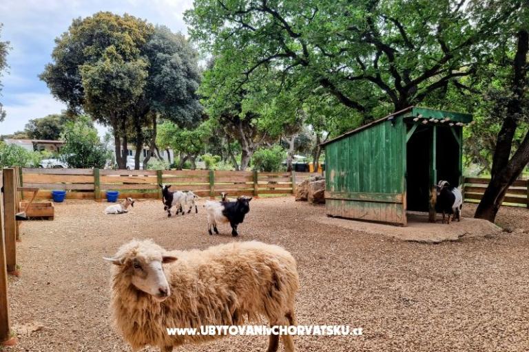 Dům Sookie – foto 41