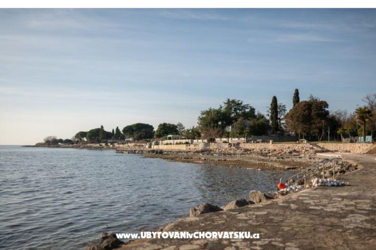 A&amp;V Residence – foto 15