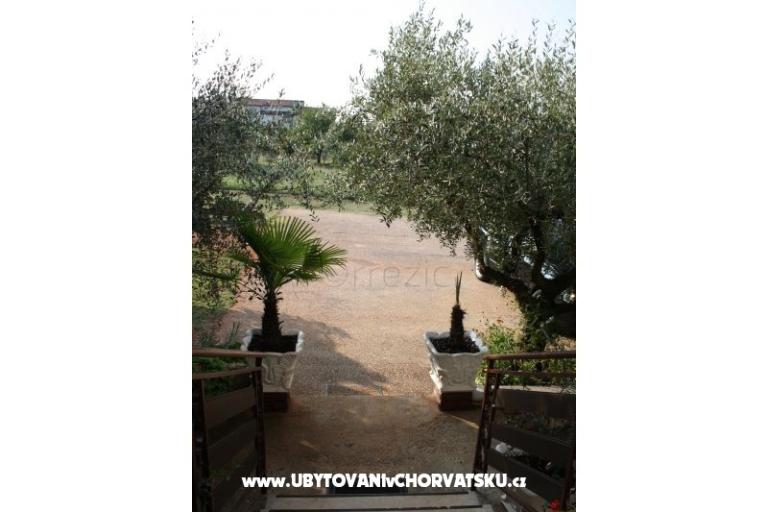 Apartmán Adriana Stancijeta – foto 11