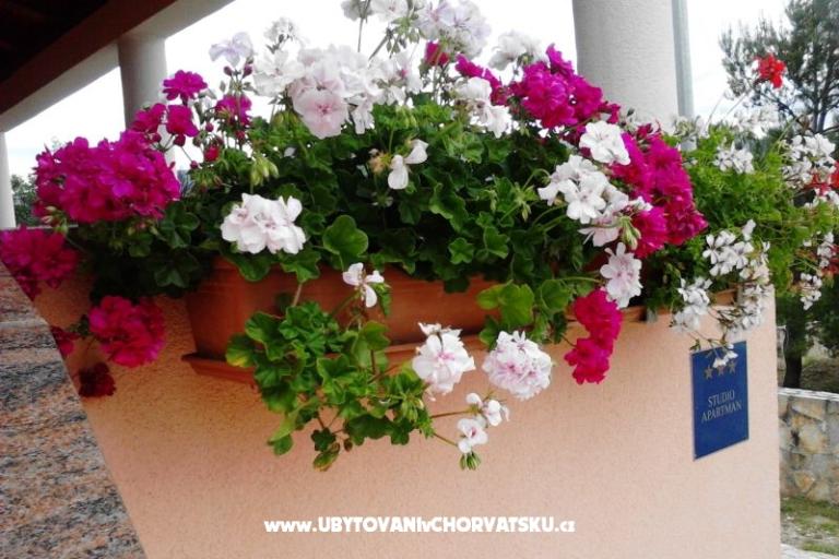 Apartmán Jasna – foto 14
