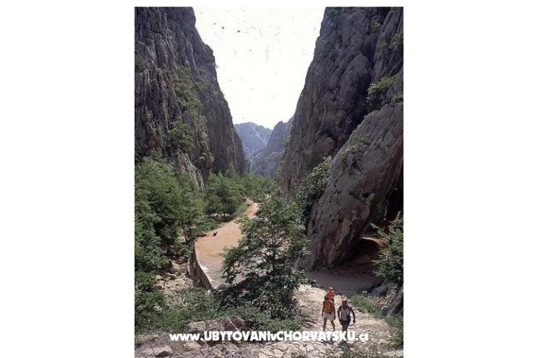 Dům k odpočinku Sonja – foto 15