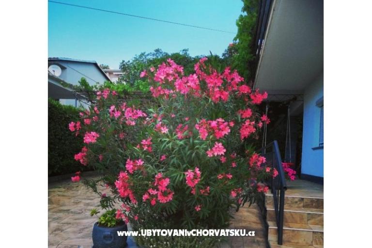 Apartmány BUTKOVIĆ DUBRAVKA – foto 12