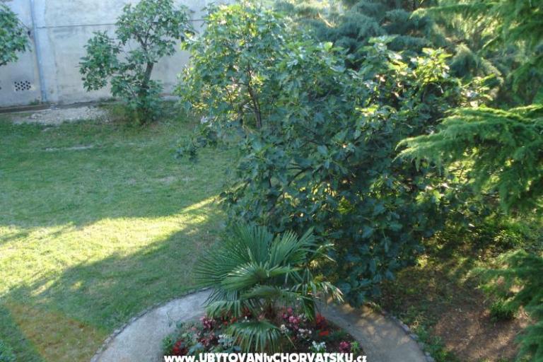 Dům k odpočinku  Nada – foto 7