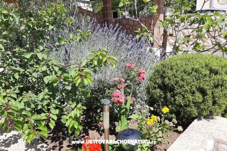 Apartmány Pavelić – foto 6