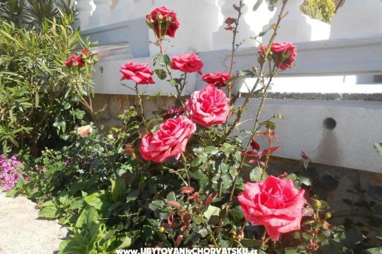 Apartmány Pavelić – foto 8