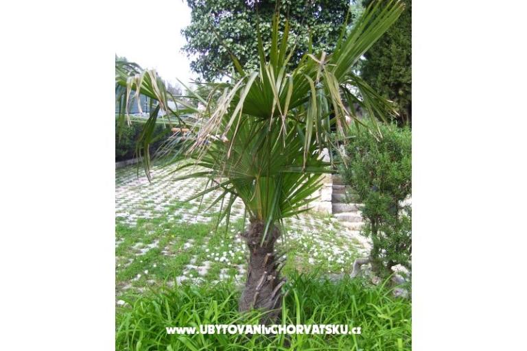 Apartmány   Zdenka  – foto 16