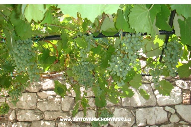 Apartmány Pejaković na moru – foto 15