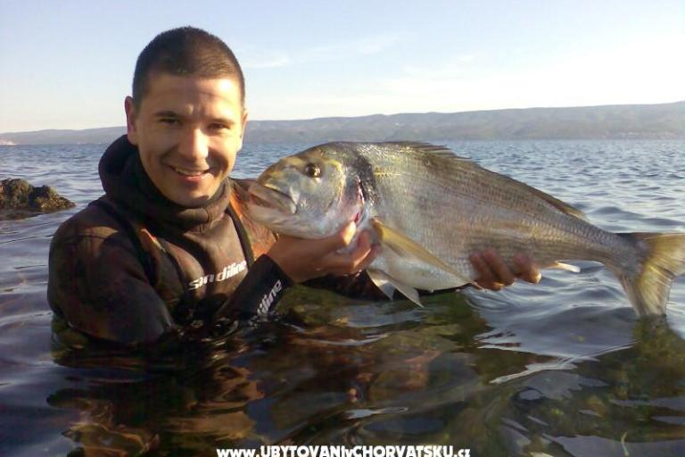 Apartmán Omiš Čelina – foto 15