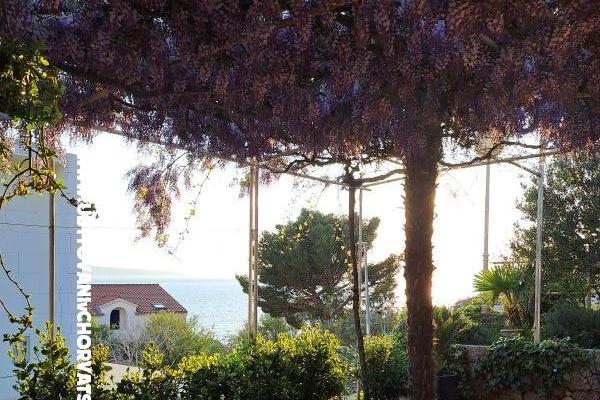 Apartmány AGAVA – foto 27