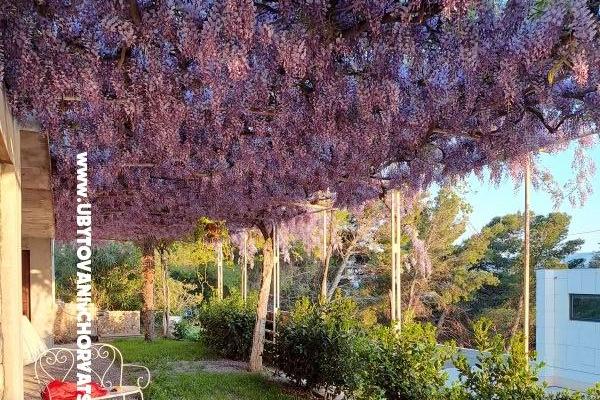 Apartmány AGAVA – foto 28