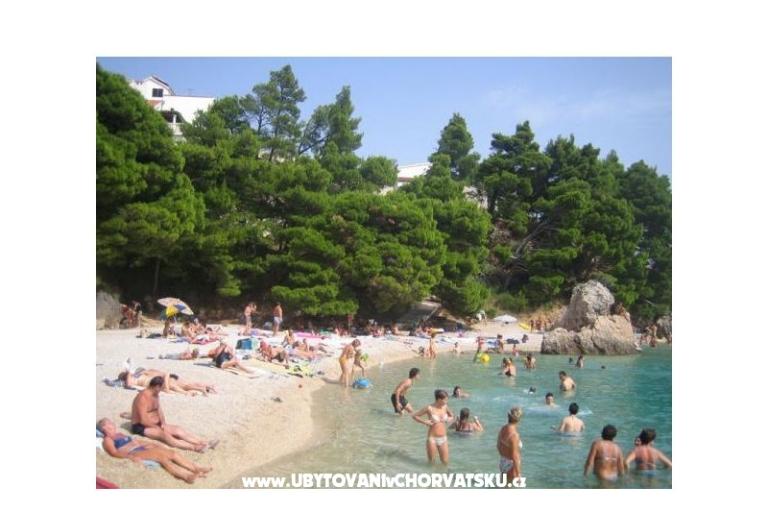 Apartmány Vila ALEN – foto 12