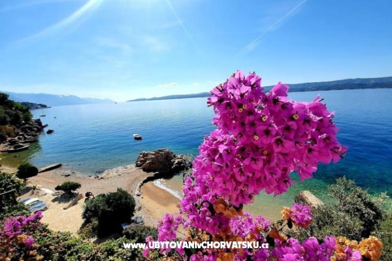 SUNandSEA30 apartments – foto 3