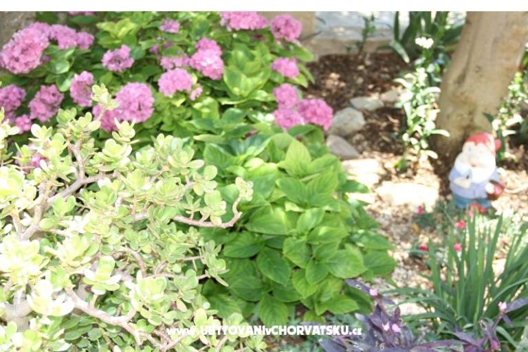 Apartmány Cvita – foto 17