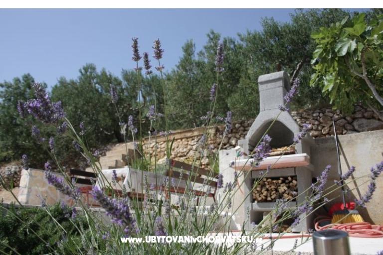 Apartmány Dragana – foto 10