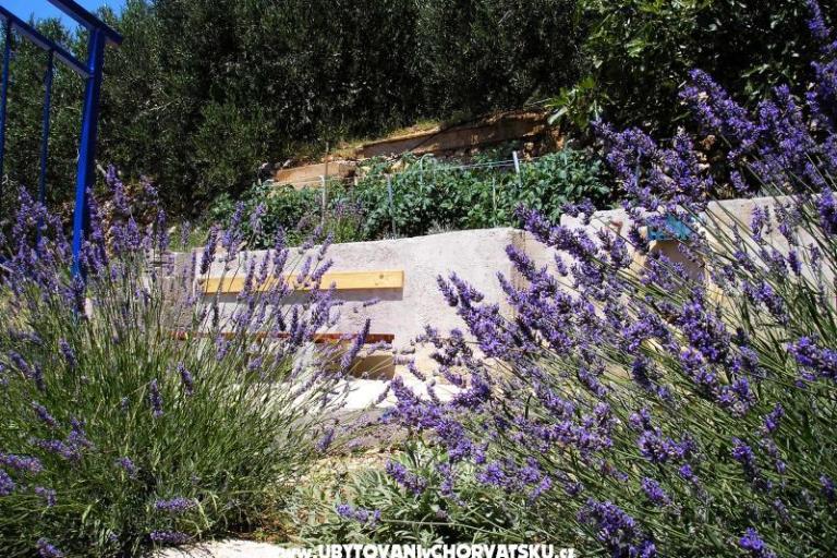 Apartmány Dragana – foto 11