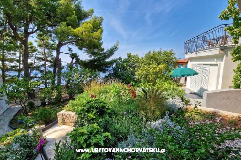 Apartmány Hajdi – foto 26