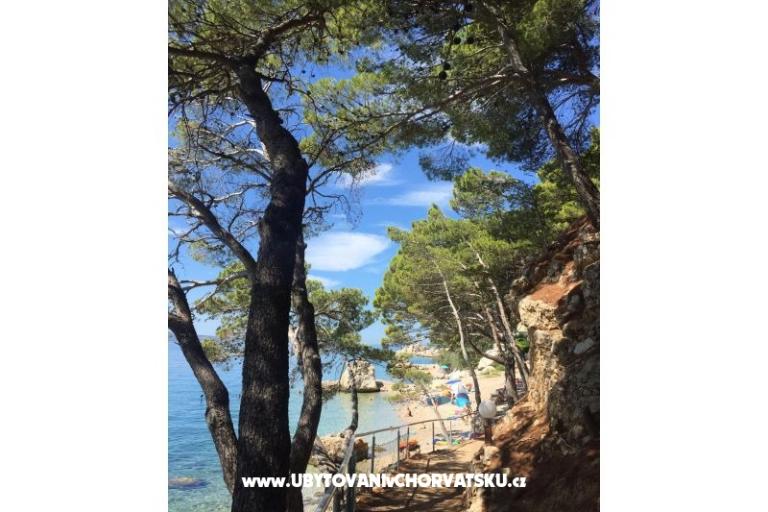 Apartmány Iko – foto 16