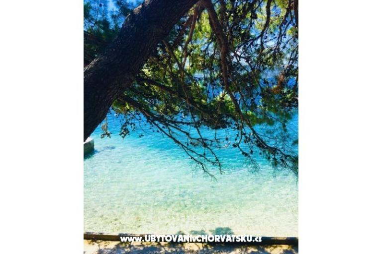 Apartmány Iko – foto 8