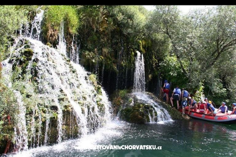 APARTMANI JELENA – foto 5