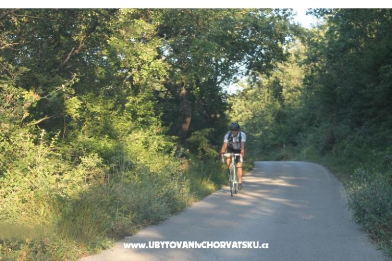 Apartmány Bašić – foto 16