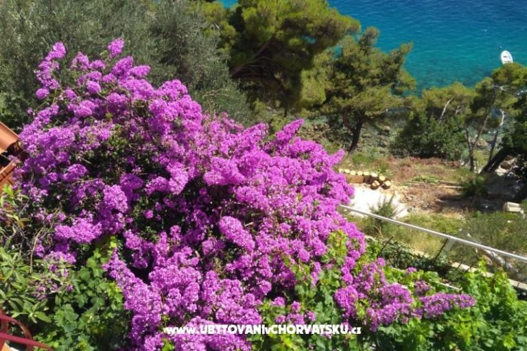 Apartmány Katica – foto 20