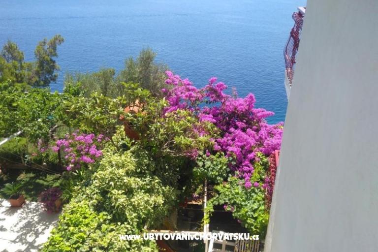 Apartmány Katica – foto 21