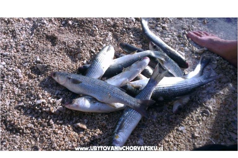 Apartmány Kuzmić – foto 9