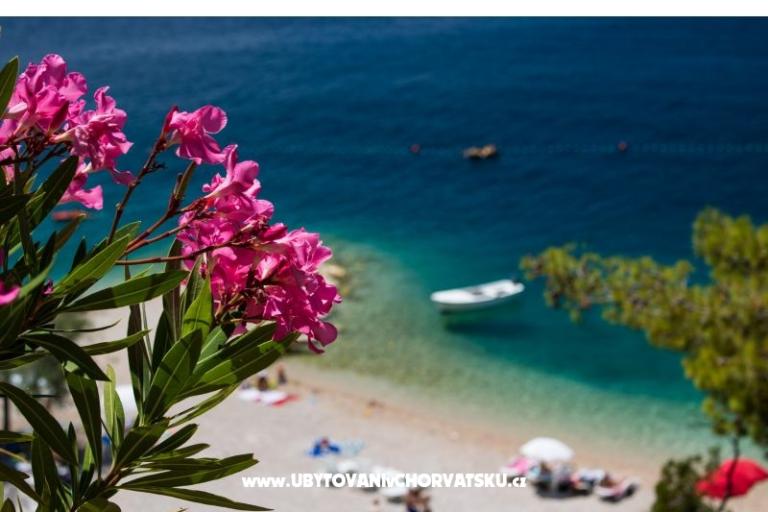 Apartmány Mira – foto 17