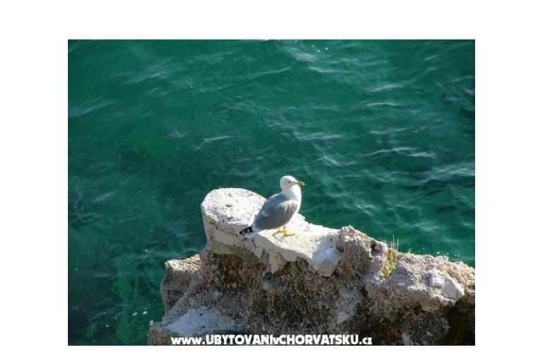 Apartmány Nena Pisak – foto 10