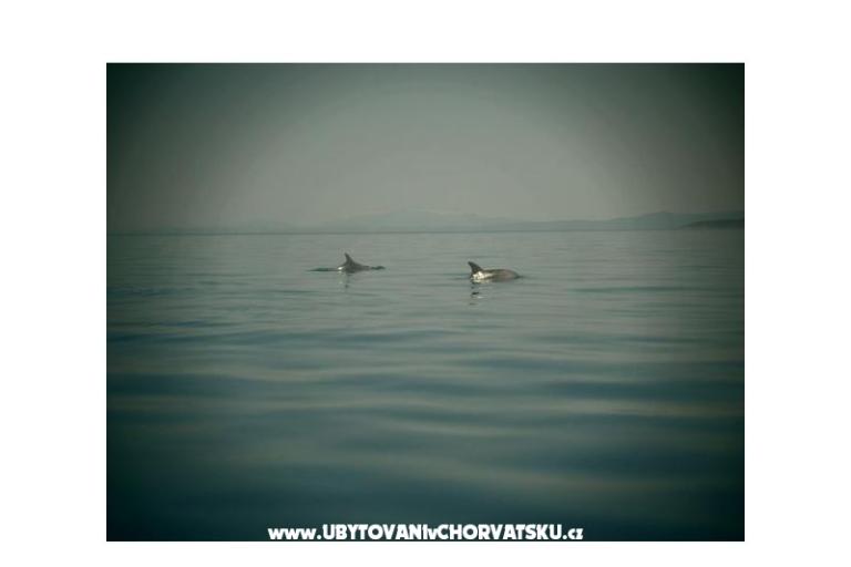 Apartmány Nena Pisak – foto 7